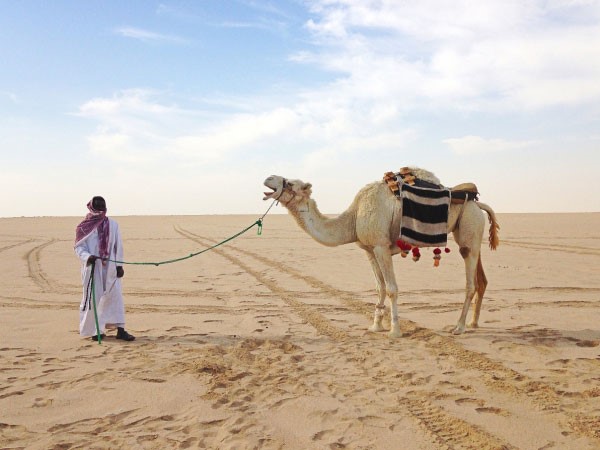 لقطة فائزة لتصوير رائع للبر