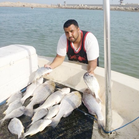 شعوم ونقارير عجيبة﻿