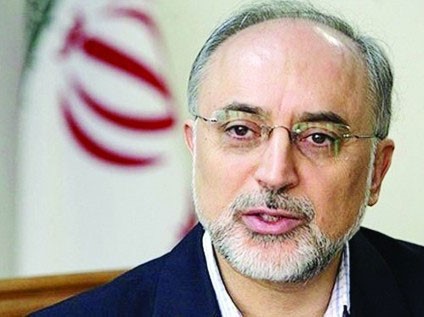 إيران: أواخر يناير الجاري بدء تنفيذ اتفاق جنيف «5+1»: أوشكنا على التوصل إلى تفاهم مشترك