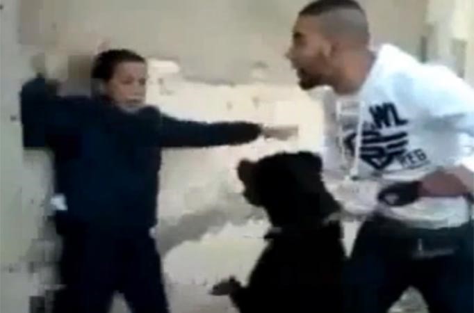 بالفيديو.. جزائري يتجرد من الإنسانية .. ويرعب طفلا بإطلاق «كلب مفترس» عليه