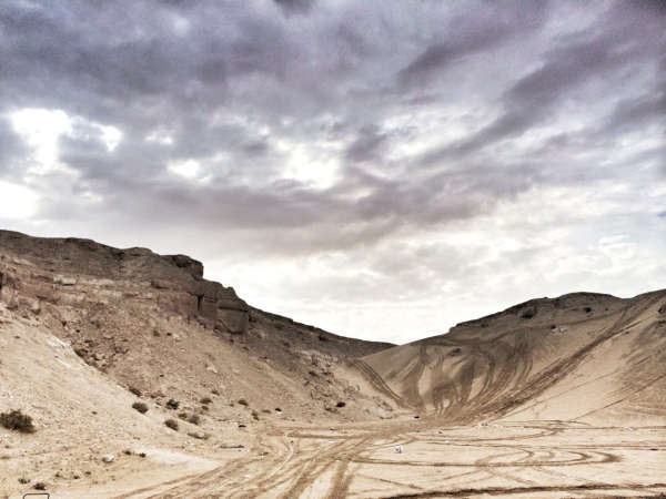 افضل صورة للبيئة البرية في الكويت