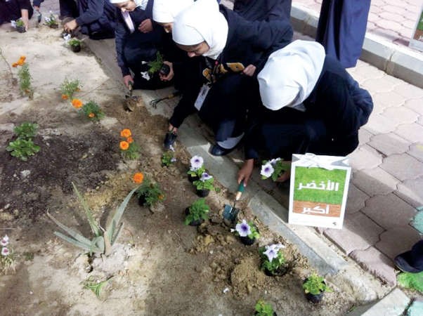 عدد من الطالبات يشاركن في حملة التخضير﻿