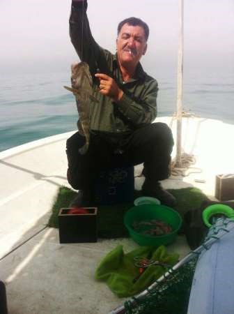 بالول محادق الشمال﻿