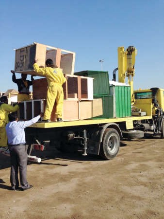 جانب من عملية مصادرة اقفاص الطيور