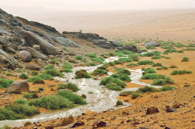 سقى غيث الحيا 