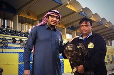 النصر والنسر