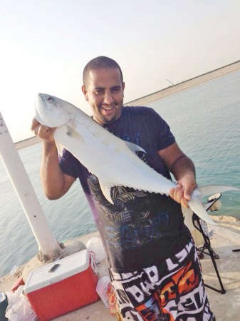 ضلعة الجنوب﻿