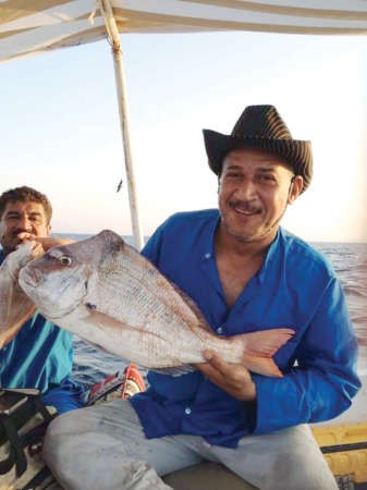 ثور عندق مصيرة﻿