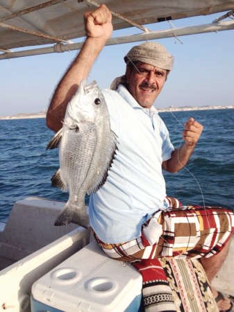 احجام اسماك عمان خيالية﻿