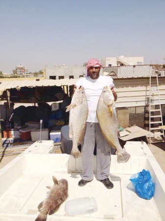 تسمع بالشماهيهذا هو﻿