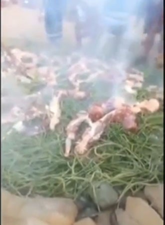 بالفيديو.. حفلة شواء في عرس سعودي لم تشاهد مثلها قبل ذلك 