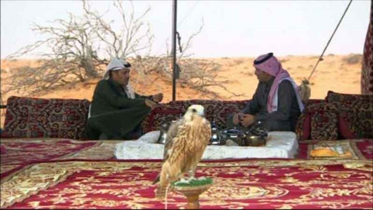 بالفيديو والصور.. خالد عبدالرحمن: أرتاد الصحراء بحثاً عن شبة النار وجمعة الأصدقاء