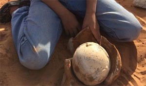 طفلة سعودية تحير عائلتها بعثورها على بيضة مغلفة بحجر