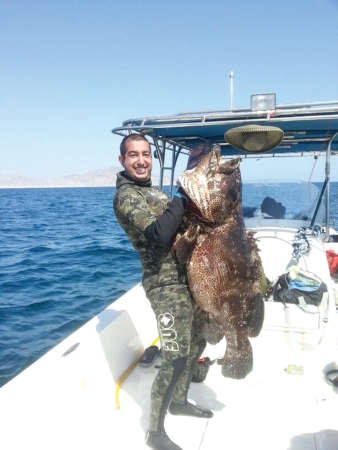 حمد الماجد مع هامور عمان﻿