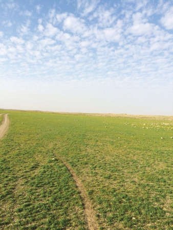 «الصّمان» هالسنة غير!