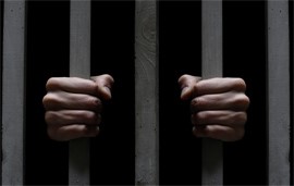 السجن عاماً لرجل رمى حبيبته بدجاجة