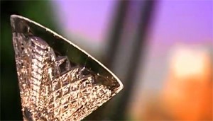 بالفيديو.. شاهد طريقة صنع كؤوس الكريستال من داخل المصنع