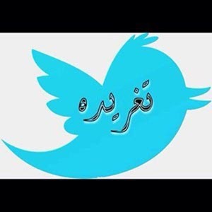 تغريدة