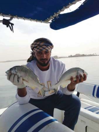 شعوم محادق الشمال﻿
