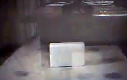 بالفيديو.. شاهد ماذا يحدث للصابون عند وضعه في المايكرويف