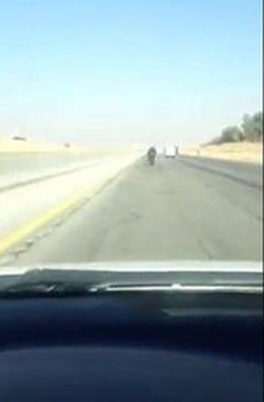 بالفيديو.. "جنون الشباب في السعودية".. سائق يقود دراجته بسرعة 200 كم