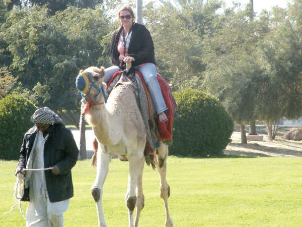 ركوب الجمال