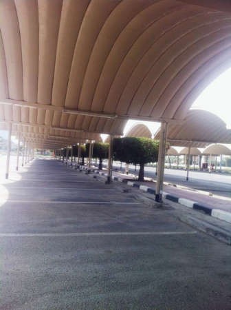 المواقف لم تجد من يبحث عن موقف لسيارته