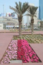 المناطق بدات تظهر بحلة جديدة ﻿
