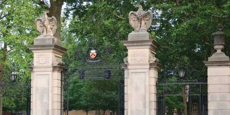 7﻿