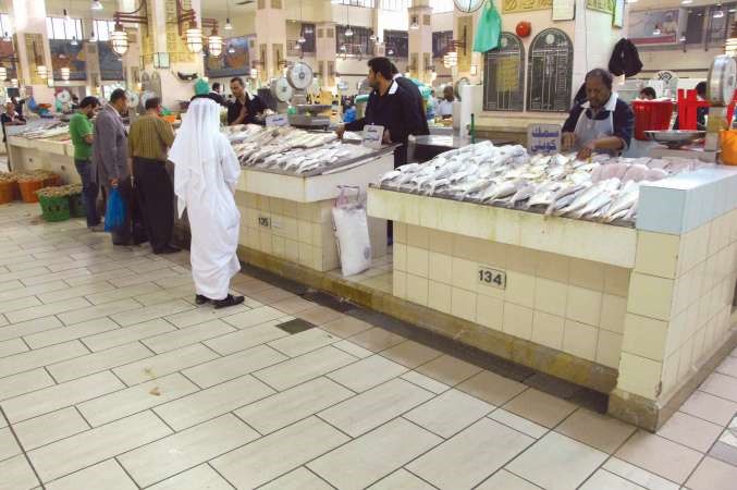 ضرورة العمل على حل مشكلات الصيادين لمواجهة ارتفاع اسعار الاسماك