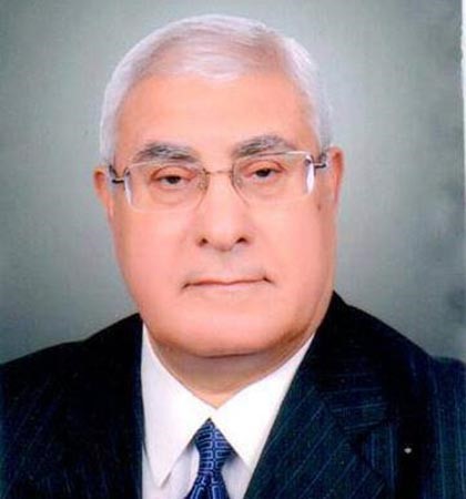 الرئيس المصري المؤقت عدلي منصور