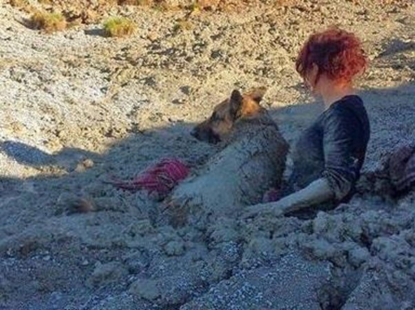بالصور.. رمال متحركة تبتلع سيدتيٌن وكلبهما في إنجلترا  