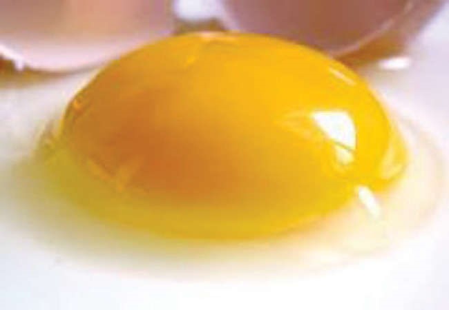 بريطانية تنجب طفلة بعد 6 حالات إجهاض بفضل.. صفار البيض