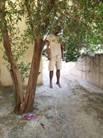 الاسيوي وقد انتحر بين الاشجار﻿