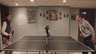 بالفيديو.. قطة تتفوق على الجميع بـ"تنس الطاولة"