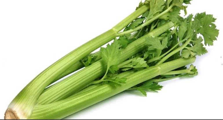 الكرفس