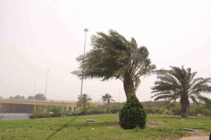 الرياح تجاوزت سرعتها 70 كيلومترا في الساعة﻿