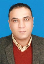 عمرو الجمال