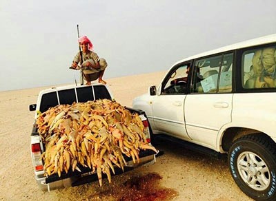بالصور.. سعوديون يصطادون كميات مهولة من "الضبان".. واستنكار من المعلقين