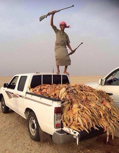 بالصور.. سعوديون يصطادون كميات مهولة من "الضبان".. واستنكار من المعلقين