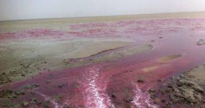 بالفيديو.. نهر في السعودية وشاطئ في البحرين يتحولان الى اللون الوردي في ظاهرة نادرة