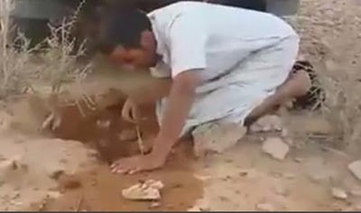 بالفيديو.. سعودي اراد استخراج ضب من جحره فسحب حية .. شاهد ماذا حدث له