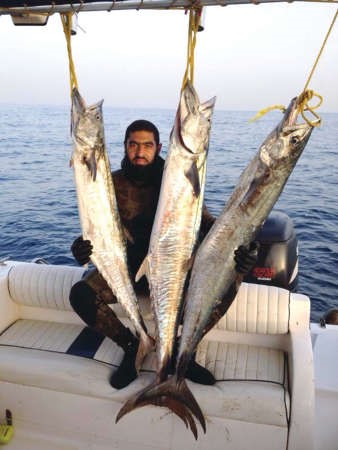 البلوشي:  سمكة الچنعد«جيكر» .. تستاهل العنوة