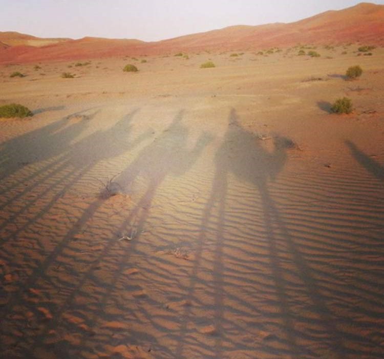 بالصور.. ميريام فارس تصطاد الغزلان في رحلتها الصحراوية بأبو ظبي