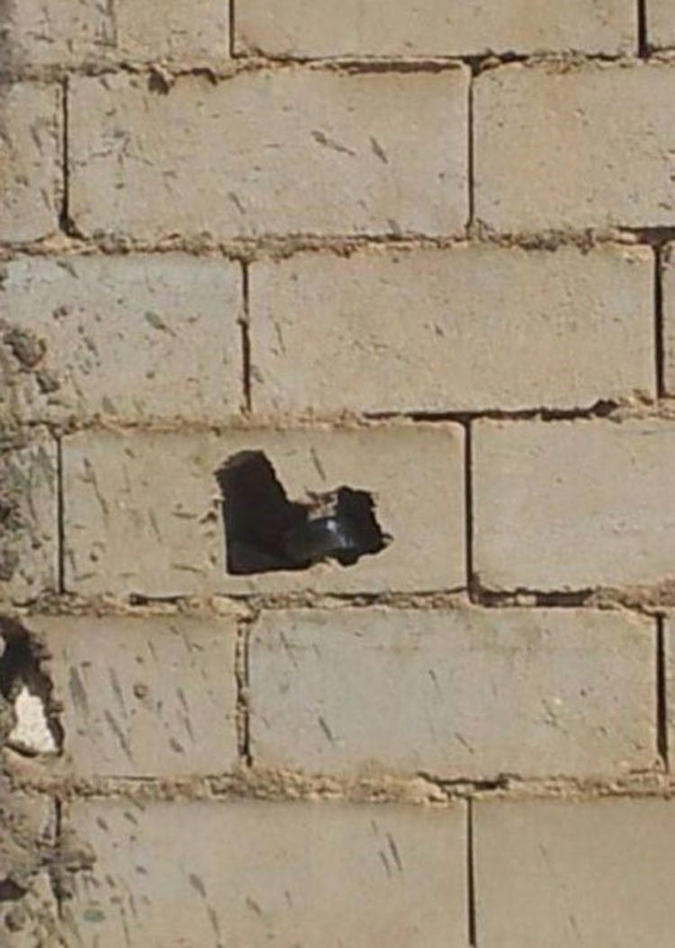 بالصور.. "الدفاع المدني السعودي" يخلّص أحد الأحياء من ثعبان تجاوز طوله المترين