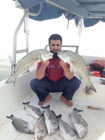 العجمي: السبيطي شبيه بفحل الحباري.. ومجنّن الحدّاقة
