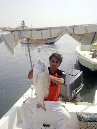 العجمي: السبيطي شبيه بفحل الحباري.. ومجنّن الحدّاقة