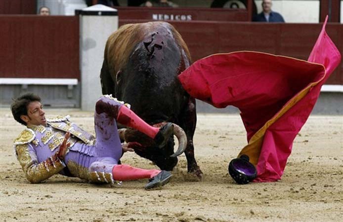 بالفيديو والصور.. ثلاثة ثيران تقلب الطاولة على مصارعيها وتصيبهم إصابات قاتلة 