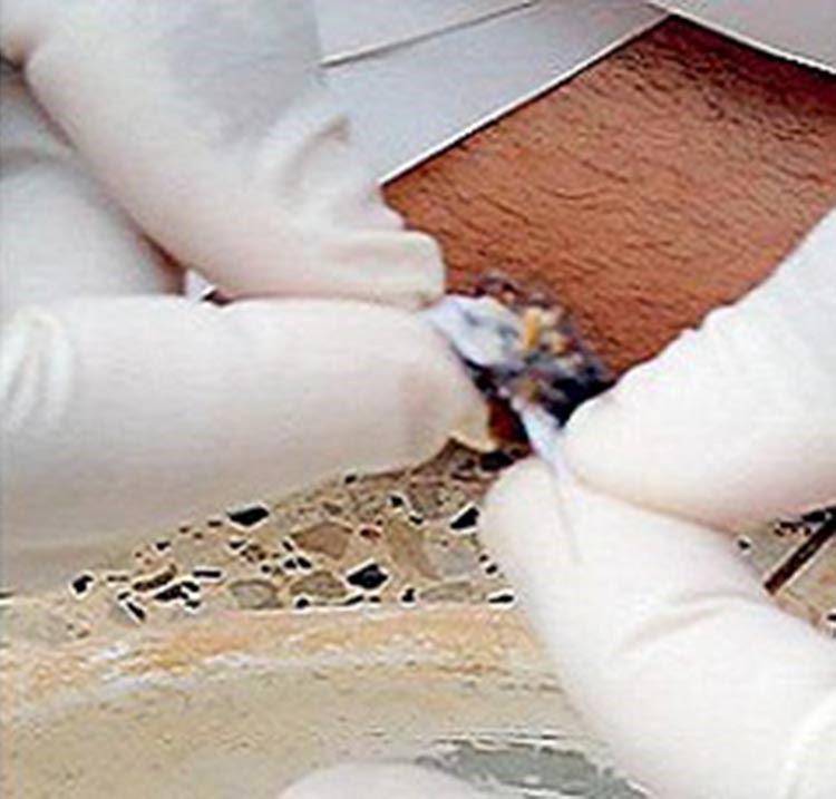 إبطال سحر الـ 4 أعوام في 3 ساعات