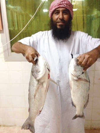 أبوجراح: التنوع بالييمة.. يعطيك سبيطي راهي